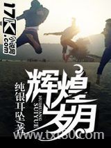 辉煌岁月图片