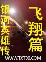 银河英雄传飞翔篇图片