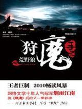 狩魔手记图片
