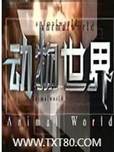 动物世界图片