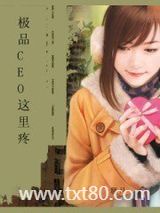 极品CEO这里疼图片