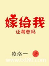 嫁给我还满意吗图片