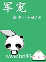 军宠（军旅高干）图片