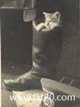 [二战]烽火情天图片