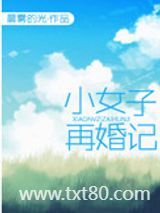 小女子再婚记图片