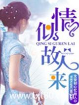 情似故人来图片