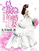 南心北往，总裁的隐婚妻图片