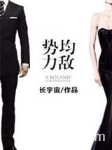 势均力敌（婚后文）图片