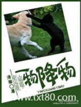 一物降一物图片