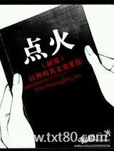 点火（叔宠）图片