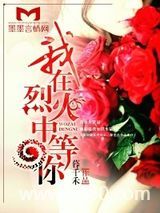 我在烈火中等你图片