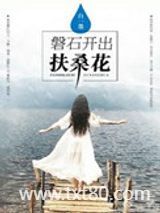 磐石开出扶桑花图片