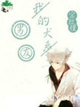 我的犬系男友图片