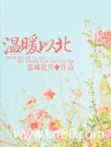 温软之北，暖宠以南（温暖以北）图片