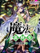 魔法高材生图片