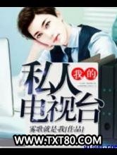 我的私人电视台图片