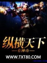 纵横天下有神功图片