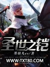 圣世之铠图片