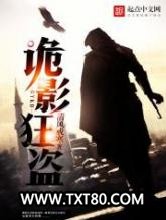 诡影狂盗图片
