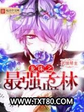 龙珠之最强孟林图片