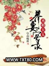 丞相大人养妻实录图片