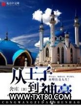 从王子到神豪图片
