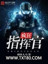 疯狂指挥官图片
