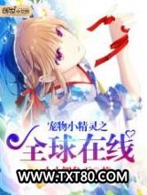 宠物小精灵之全球在线图片