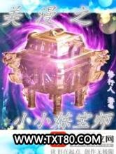 美漫之小小炼宝师图片