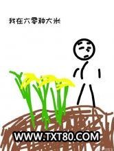 我在六零种大米图片
