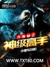 大海贼之神级高手图片