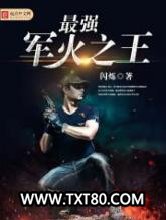 最强军火之王图片