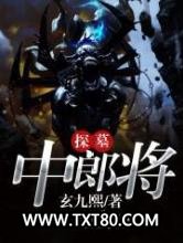 探墓中郎将图片