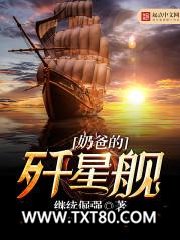 奶爸的歼星舰图片