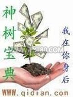 神树宝典图片
