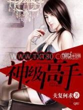 极品总裁的神级高手图片