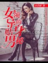 女领导的贴身男秘图片