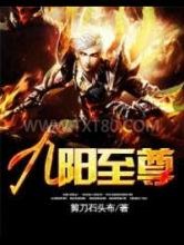 九阳至尊图片