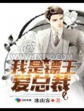 我是镖王爱总裁图片