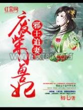 邪王追妻：废柴小兽妃图片