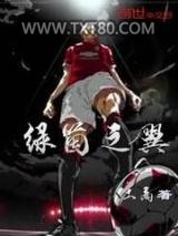绿茵之翼图片