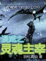 美漫之灵魂主宰图片