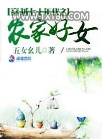 穿越七十年代之农家军嫂图片