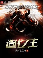 造化之主/穿梭诸天图片