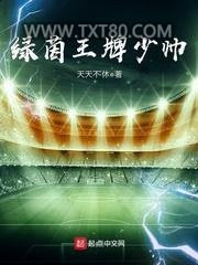 绿茵王牌少帅图片