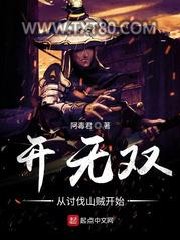 开无双从讨伐山贼开始图片