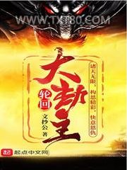 轮回大劫主图片