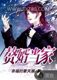 赘婿当家图片