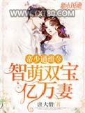 帝少通缉令：智萌双宝亿万妻图片