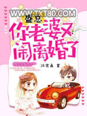 盛总，你老婆又闹离婚了图片